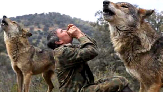 Niño vendido por su padre terminó viviendo con una manada de lobos - El  Aragueño