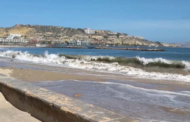 Reabrirán progresivamente las playas de Lechería - El Aragueño
