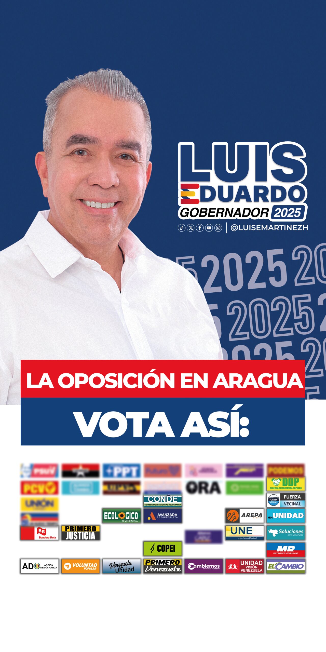 candidato LUIS EDUARDO MARTÍNEZ