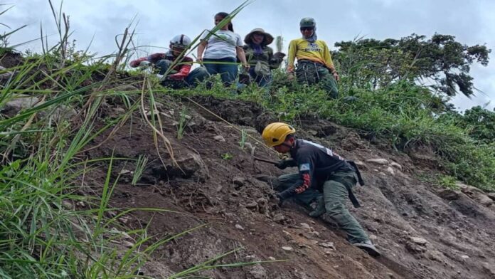 Más de 4.200 árboles se han plantado en Mérida como parte su plan de reforestación tras las lluvias