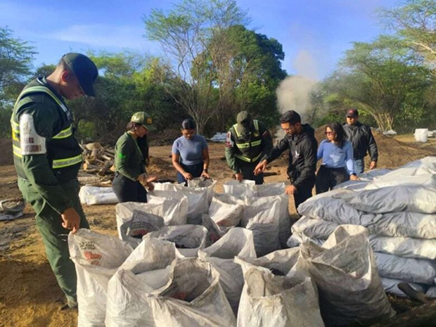 Desmantelan fábrica ilegal de carbón vegetal en Clarines, Anzoátegui