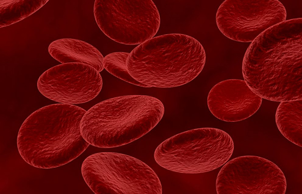 El descubrimiento sobre las plaquetas que puede revolucionar la lucha contra el cáncer