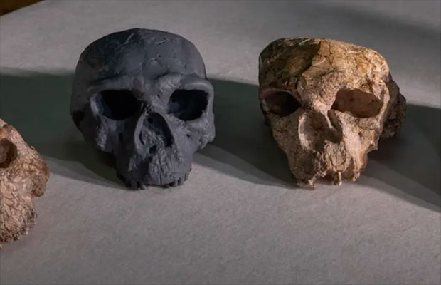 Hallazgo-en-China-adelanta-un-millón-de-años-el-tronco-del-linaje-Homo-Sapiens