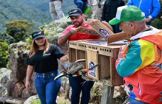Liberan 20 aves para fortalecer la biodiversidad en Parque Chorro El Indio