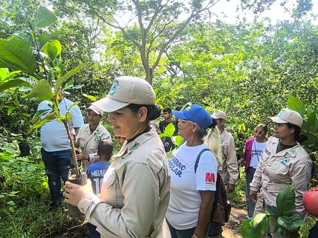 Siembran más de 2 mil plantas en el estado Carabobo