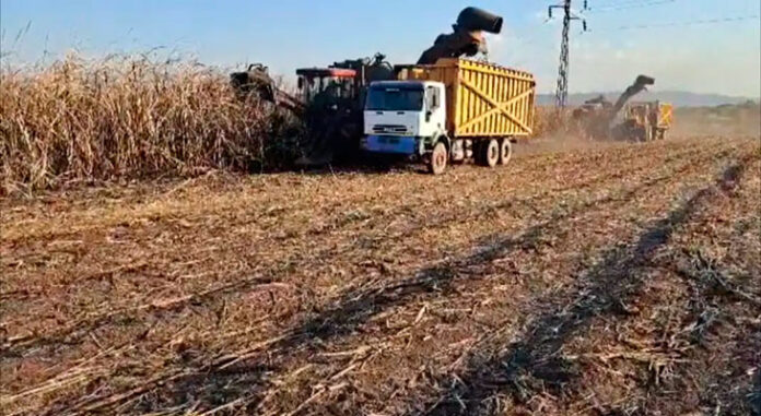 Cuatro-centrales-azucareros-pasan-al-sector-privado