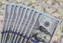 BCV ha colocado cerca de USD 4.000 millones en el sistema cambiario este año