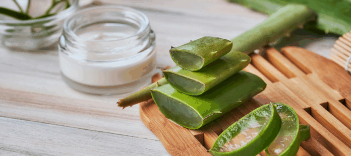 El poder del aloe vera cómo preparar una crema facial casera