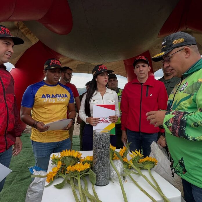 Impulsan siembra de girasol en Aragua