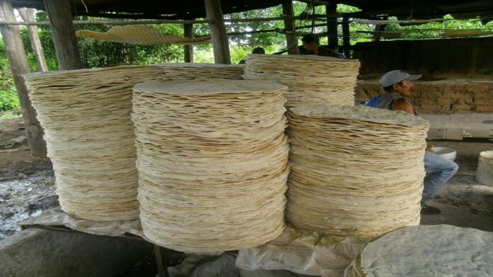 Producción de casabe en Monagas presenta baja por escasez de yuca