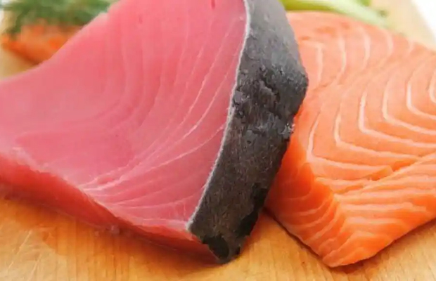 Salmón o atún Cuál elegir para perder peso