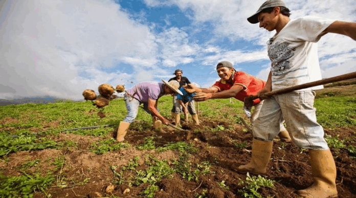 Gobierno nacional insta a rescatar el conuco como modelo de producción en el país