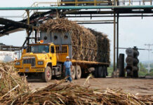 Exigen frenar importación de azúcar refinada sin aranceles para proteger al sector cañicultor