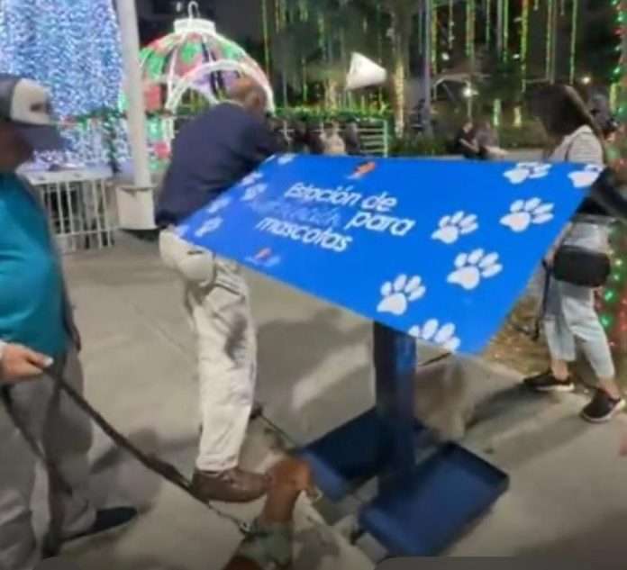 En Chacao instalan bebederos para perros