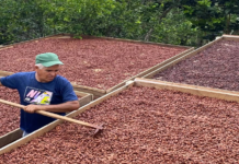 UE formaliza nuevo reglamento para importar café y cacao a productores venezolanos