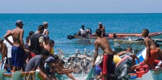 Sector Pesca llevará propuestas al plan nacional productivo