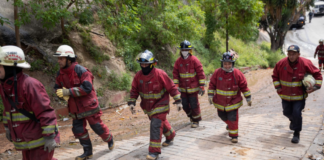 Ambientalistas de Guárico reportan reducción del 50 % de los incendios forestales