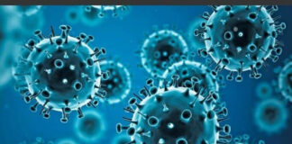 Argentina registra la primera muerte por la variante K de la influenza A H3N2