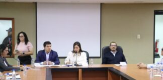 Comisión de Desarrollo Social elaborará Código Social