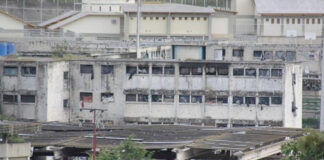 Confirman excarcelación de dos ciudadanos italianos en Venezuela