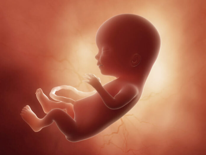 Encontraron un feto dentro de una bolsa plástica en La Isabelica