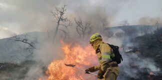 Inameh alerta sobre riesgo «muy alto» de incendios forestales en varias zonas del país