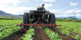 Ingenieros agrónomos apuestan por una agricultura sostenible, tecnología y más inversión