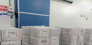 Llegó a Venezuela cargamento oncológico proveniente de la India
