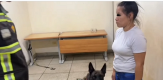 Mujeres intentan ingresar cocaína en el centro penitenciario de Coro