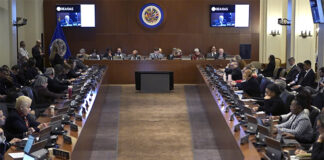 OEA analizará la situación de Venezuela en sesión extraordinaria