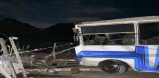 Varios lesionados y una mascota fallecida tras choque de buseta contra poste de luz en Vigirima