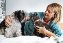 ¿Cómo el juego y la conexión social pueden ayudar para que los perros entiendan palabras?