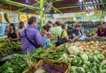 Crean Asociación Andina Agroproductores para frenar contrabando y potenciar exportaciones