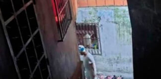 Hallazgo macabro en Caracas tras la muerte masiva de mascotas en un callejón