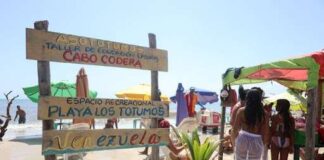 Los Totumos y Puerto Francés contará con Carnavales Tecnológicos 5.0