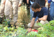 Ministro Ñáñez destaca importancia de la producción comunal durante visita a Yaracuy