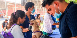 Misión Nevado inicia Campaña Nacional de Vacunación Séxtuple canina gratuita