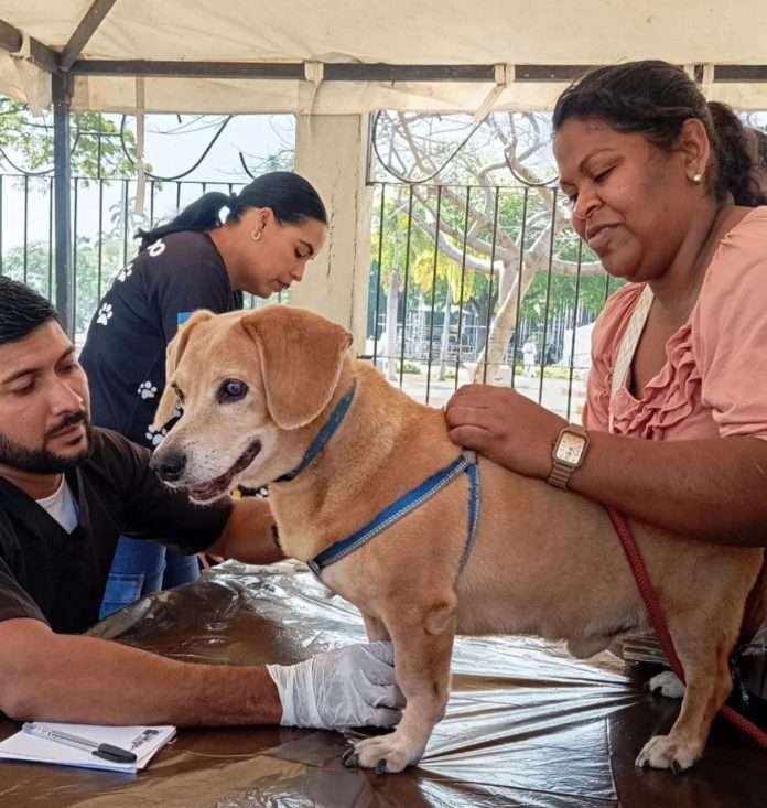 Misión Nevado inicia campaña masiva de vacunación en Anzoátegui