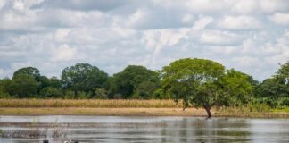 Naufragó embarcación que transportaba ayuda humanitaria en Delta Amacuro
