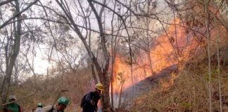 Niños y ancianos: los más afectados por el humo de incendios forestales