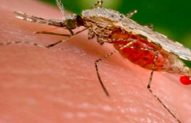 OPS-alerta-ante-aumento