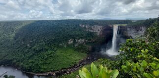 Presidenta (e) Rodríguez plantea a Guyana «negociación de buena fe» sobre el Esequibo