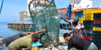 Reactivarán pesca industrial a través de plan estratégico