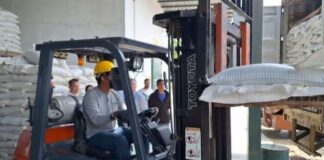 Salen desde Portuguesa para Filipinas 18 contenedores de frijol mungo