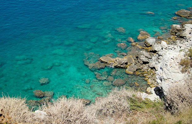 Un-estudio-liderado-por-la-UAB