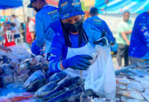 «Venezuela Come + Pescado» llega simultáneamente a 15 estados del país