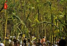 Alistan parque Macarao para recibir a palmeros el 28