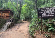 Anuncian restricciones en el Waraira Repano para prevenir incendios forestales