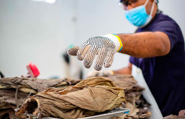 Aragua-exporta-más-de-29-mil-kilos