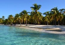 Autoridades de Falcón lanzan plan de «Gestión Sostenible Morrocoy 2026»